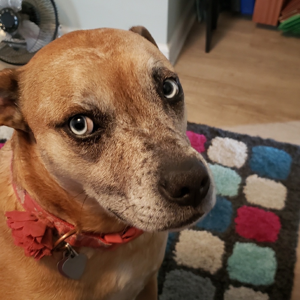 Meet your Posher, Sara